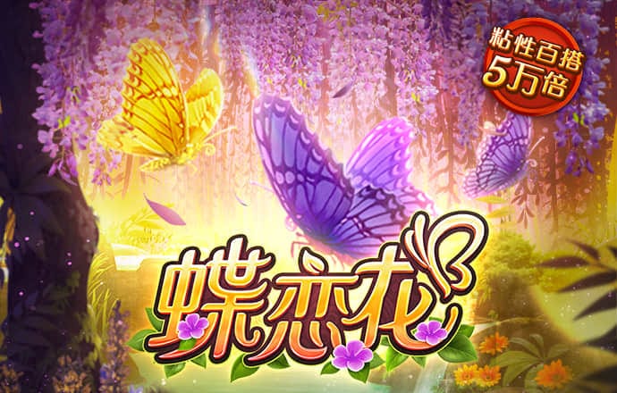 大红鹰dhy官方